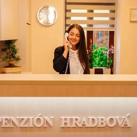 Hotel Hradbova & 3*