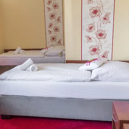 מלון Hradbova Old Town & 3*