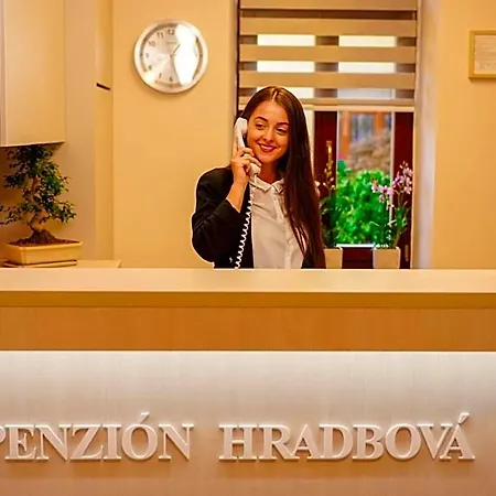 Hradbova Old Town & 3* Koszyce