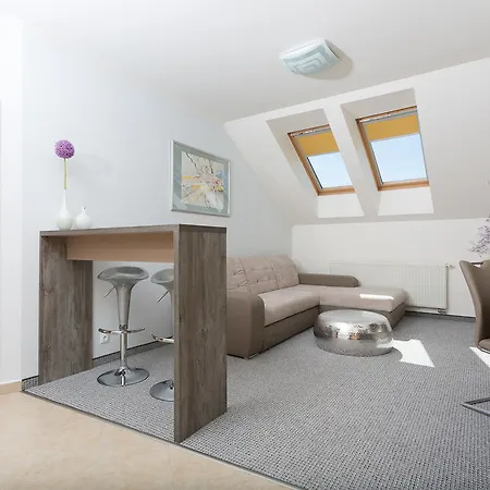 Отель Hradbova Old Town & 3*