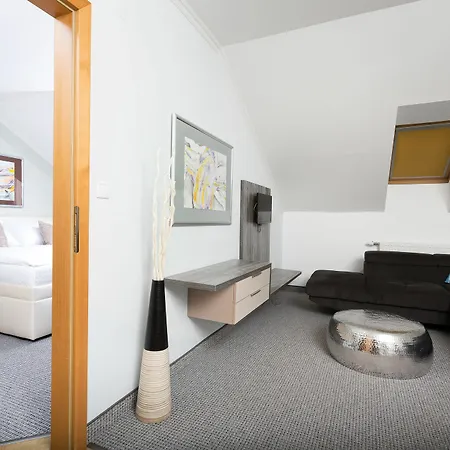 Hotel Hradbova & 3*